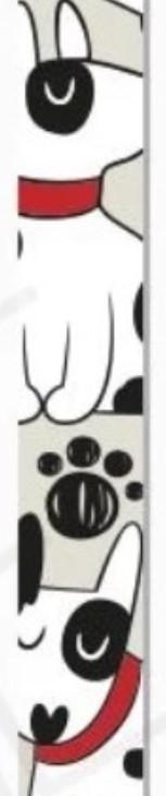 Salva Celular Dog